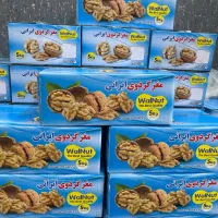 گردو و مغز گردو،پسته مغز پسته