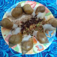 حلزون|خزنده|شیراز, شاهچراغ|دیوار