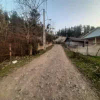 ویلا سنتی جنگلی کچا۲۰۰۰متر|اجارهٔ کوتاه‌مدت ویلا و باغ|رشت, گیل|دیوار