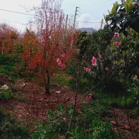 زمین-مسکونی