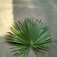 مناسب برای صنایع دستی