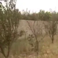 زمین-زراعی-1000-متری-با-امکانات-کامل