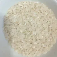 برنج منطقه ابرج درجه ۱