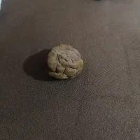 تعدادی سنگ فسیل|جواهرات|کازرون, |دیوار