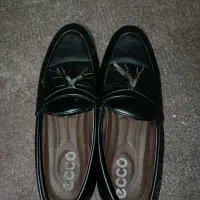 کفش|کیف، کفش، کمربند|اشنویه, |دیوار