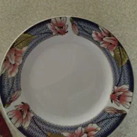 دودست بشقاب تخت و خورش خوری