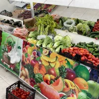 قفسه و میز میوه