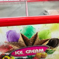 یخچال فریزر بستنی و ایستاده