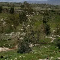 باغچه-500-متری-بن-جعفر-3-350