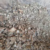 کود‌..زل‌کبوتر