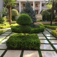 کامرانیه شمالی ثروتی ۲۴۵ متر فول۲پارکینگ