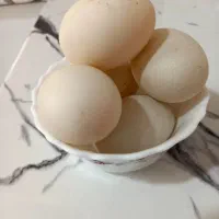 تخم اردک|حیوانات مزرعه|بومهن, |دیوار