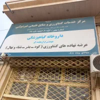 فروش انواع بذور گندم و جو باکیفیت و قیمت مناسب