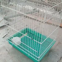 قفس پرنده