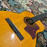 گیتار هافنر کلاسیک  اصل بدون خط و خراش-AS-045-P2