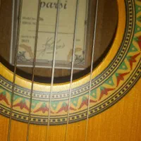 گیتار نو