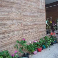 خانه ویلایی اجاره ای|اجارهٔ خانه و ویلا|قائمشهر, |دیوار