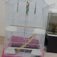 قفس پرنده