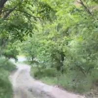 باغ-نزدیک-پل-زمانخان