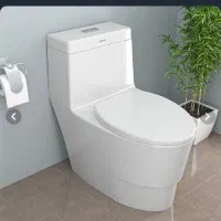 توالت فرنگی گلسار