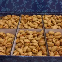 دعوت به همکاری در فروش انلاین