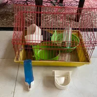 قفس پرنده و خرگوش