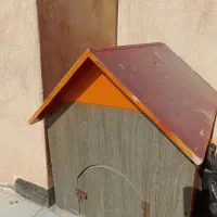 کلبه سگ|لوازم جانبی حیوانات|کاشمر, |دیوار