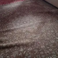 فروش دو تخته فرش گردویی|فرش|درگزین, |دیوار