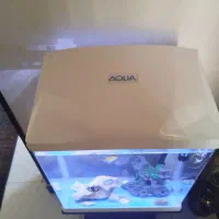 اکواریوم شیشه خم