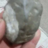 شهاب سنگ فروشی|کلکسیون اشیاء عتیقه|برخوار, |دیوار