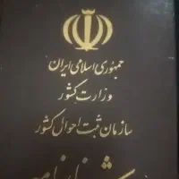 پیدا شده