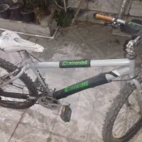 دوچرخه|دوچرخه، اسکیت، اسکوتر|قدس, شهرقدس|دیوار