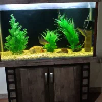 آکواریوم با تمام لوازم