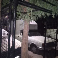 باربندوانت پیکان|قطعات یدکی و لوازم جانبی|قرچک, باقرآباد|دیوار