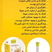 جوانه گندم بین استار/چاقی طبیعی صورت بدون عوارض|خوردنی و آشامیدنی|مشهد, شهید فرامرز عباسی|دیوار