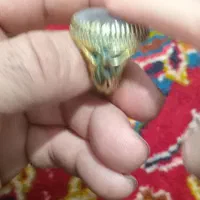 انگشتر|جواهرات|آذرشهر, |دیوار