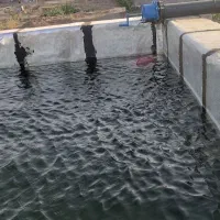 زمین باغچه ویلا