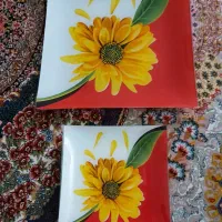 ظرف پذیرایی