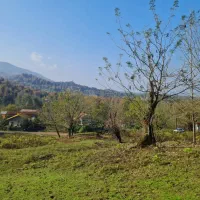 زمین-با-سندتک-برگ-کوه-پایه-ای-مسکونی