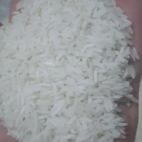 برنج دمسیاه و برنج فجر و لاشه دمسیاه