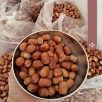 سنجدمال امسال