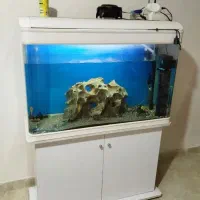 آکواریوم شرکتی با ۲۰ ماهی