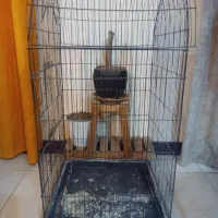 قفس عروس هلندی و قناری و وسایل سگ و گربه|لوازم جانبی حیوانات|کرج, حسن آباد|دیوار