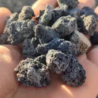 پوکه سبک دانه غرب