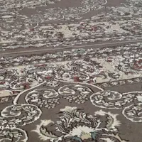 فروش دو عدد فرش ۷۰۰ شانه