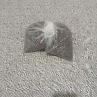 کشمش بی دانه