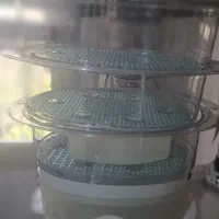 بخار پز تفال (اصل فرانسه)