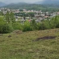 زمین-باغی