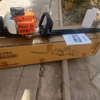 شمشاد زن آگرو