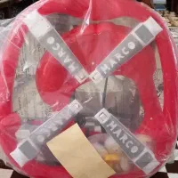 روروئک بچه نو